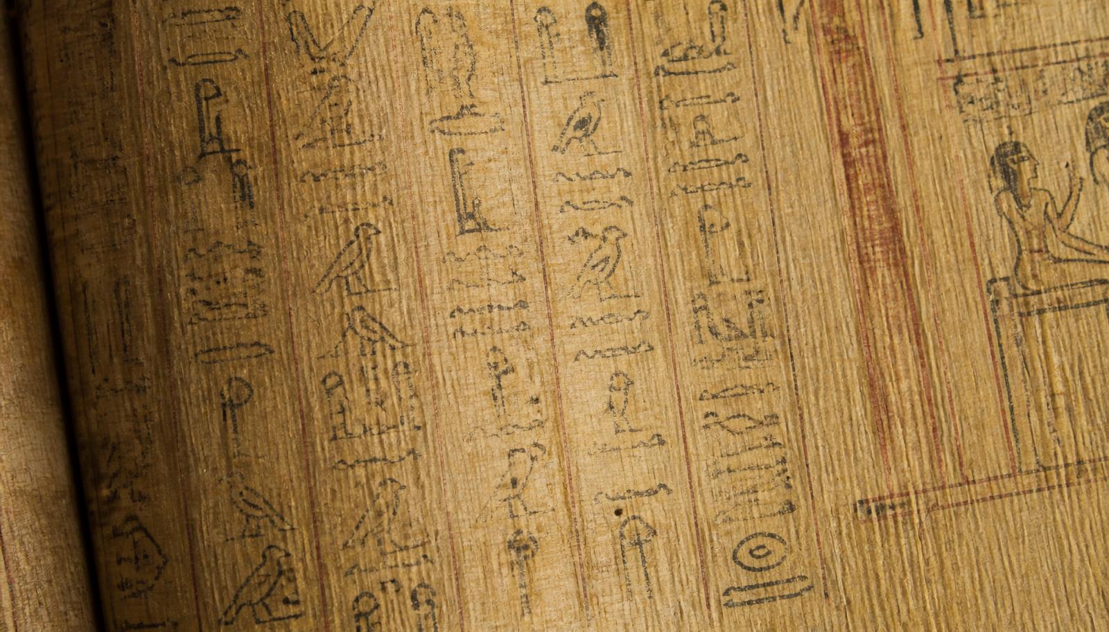 Detail of a hieroglyphic papyrus scroll